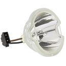 HP LTOBMD6580NPPX Phoenix FP Lamps Bare