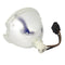 Phoenix LTOBSHP73PPX Phoenix FP Lamps Bare