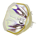 Panasonic LTOBPTD5000PPX Phoenix FP Lamps Bare