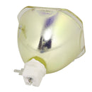 Panasonic LTOBPTFD601CLPPX Phoenix FP Lamps Bare