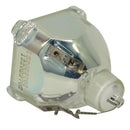 Liesegang LTOBZU0283044010PPH Philips FP Lamps Bare