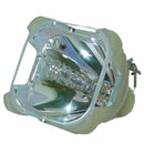 InFocus LTOBIN1PPH Philips FP Lamps Bare