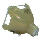 InFocus LTOBIN1PPH Philips FP Lamps Bare