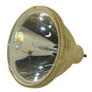Philips LTOBLC1041PPH Philips FP Lamps Bare