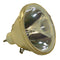 Philips LTOB928134305390PPH Philips FP Lamps Bare