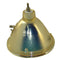 Philips LTOB928134305390PPH Philips FP Lamps Bare