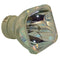NEC LTOBNP14LPPPH Philips FP Lamps Bare