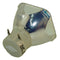 NEC LTOBNP14LPPPH Philips FP Lamps Bare