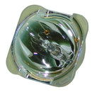 Optoma LTOBBLFU200APPH Philips FP Lamps Bare