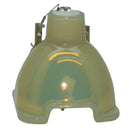 Optoma LTOBBLFU200APPH Philips FP Lamps Bare