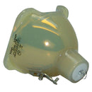 Optoma LTOBBLFU200APPH Philips FP Lamps Bare
