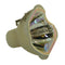 Sanyo LTOBPOALMP131PPH Philips FP Lamps Bare