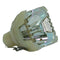 Philips LTOB928137005390PPH Philips FP Lamps Bare