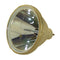 Sanyo LTOBPOALMP24PPH Philips FP Lamps Bare