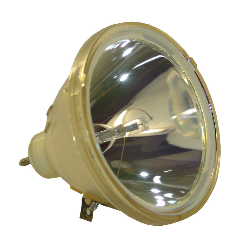 Sanyo LTOBPOALMP24PPH Philips FP Lamps Bare