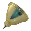 Philips LTOBLC1241PPH Philips FP Lamps Bare