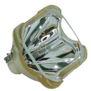 Sagem LTOBFLP3000XPPH Philips FP Lamps Bare