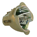Optoma LTOBVE810PPH Philips FP Lamps Bare