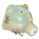 Sanyo LTOBPDGDHT100LPPH Philips FP Lamps Bare