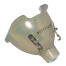 LG LTOBBX503PPH Philips FP Lamps Bare