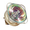 Philips LTOB928169705390PPH Philips FP Lamps Bare