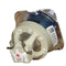 Dukane LTOBImagePro8975WUPPH Philips FP Lamps Bare