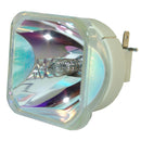Eiki LTOB23040034PPH Philips FP Lamps Bare