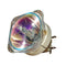 Optoma LTOBX501PPH Philips FP Lamps Bare