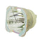 NEC LTOBNP25LPPPH Philips FP Lamps Bare