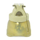 RICOH LTOBPJ12000PPH Philips FP Lamps Bare