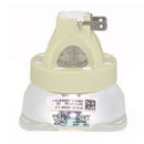 Philips LTOB928441505390PPH Philips FP Lamps Bare