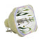Optoma LTOBW515PPH Philips FP Lamps Bare