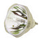 Christie LTOB00300551601PPH Philips FP Lamps Bare