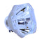 Panasonic LTOBPTEX12KPUSH Ushio FP Lamps Bare