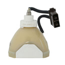 Polaroid LTOBPolaview335PUSH Ushio FP Lamps Bare