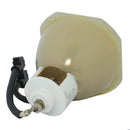 JVC LTOBDLAHD2PUSH Ushio FP Lamps Bare