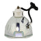 Panasonic LTOBPTD7700PUSH Ushio FP Lamps Bare