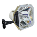 Liesegang LTOBDV560PUSH Ushio FP Lamps Bare