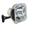 InFocus LTOBDP8500XPUSH Ushio FP Lamps Bare