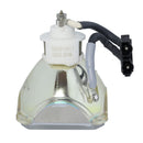 Liesegang LTOBDV560PUSH Ushio FP Lamps Bare