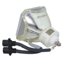 Liesegang LTOBDV560PUSH Ushio FP Lamps Bare