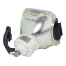 Liesegang LTOBDV560PUSH Ushio FP Lamps Bare