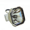 Toshiba LTOBTLPX10PUSH Ushio FP Lamps Bare