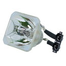 Liesegang LTOBDV480PUSH Ushio FP Lamps Bare