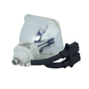 Liesegang LTOBDV480PUSH Ushio FP Lamps Bare