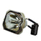 Polaroid LTOBPV360PUSH Ushio FP Lamps Bare