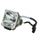 Liesegang LTOBDV500PUSH Ushio FP Lamps Bare