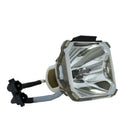 Liesegang LTOBDV500PUSH Ushio FP Lamps Bare