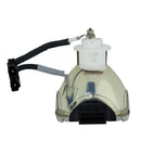 Liesegang LTOBDV500PUSH Ushio FP Lamps Bare