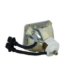 Liesegang LTOBDV500PUSH Ushio FP Lamps Bare